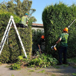 Hedge Cutting Greater Manchester