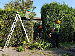Hedge Cutting Greater Manchester