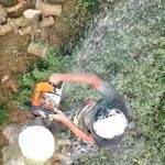Arborist near me Greater Manchester