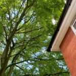 Arborist services near me Greater Manchester