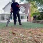 Tree Services near me Greater Manchester