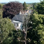 tree thinning services in Greater Manchester